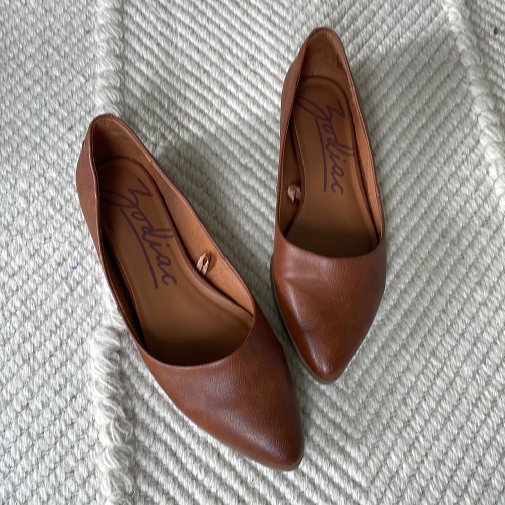 Zodiac Camel Pointed Slipons